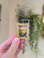 Mini Golden Painted Framed, Textured Artwork Magnet.